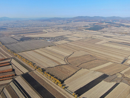 “要建好，更要管好、用好”——高標準農(nóng)田建設觀察