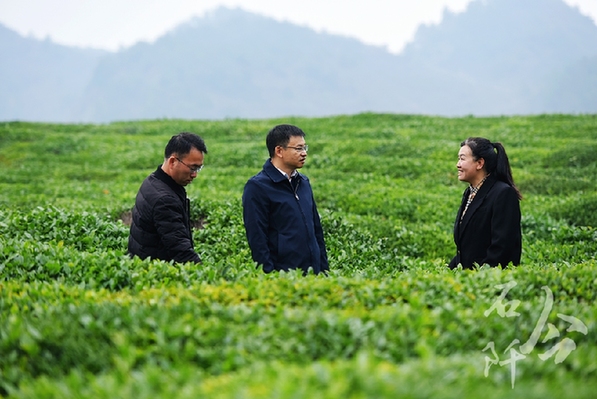 躬身為橋 緊盯供需連接山海 ——記廣東省粵黔協(xié)作工作隊銅仁工作組石阡小組組長，石阡縣委常委、副縣長李浩泉